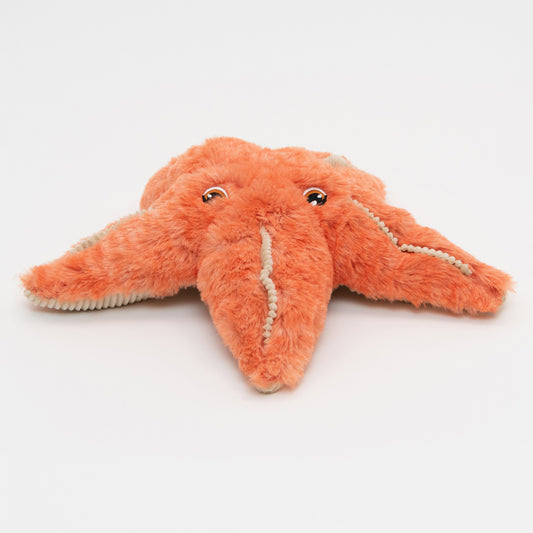 An orange plush starfish soft toy on a white background.