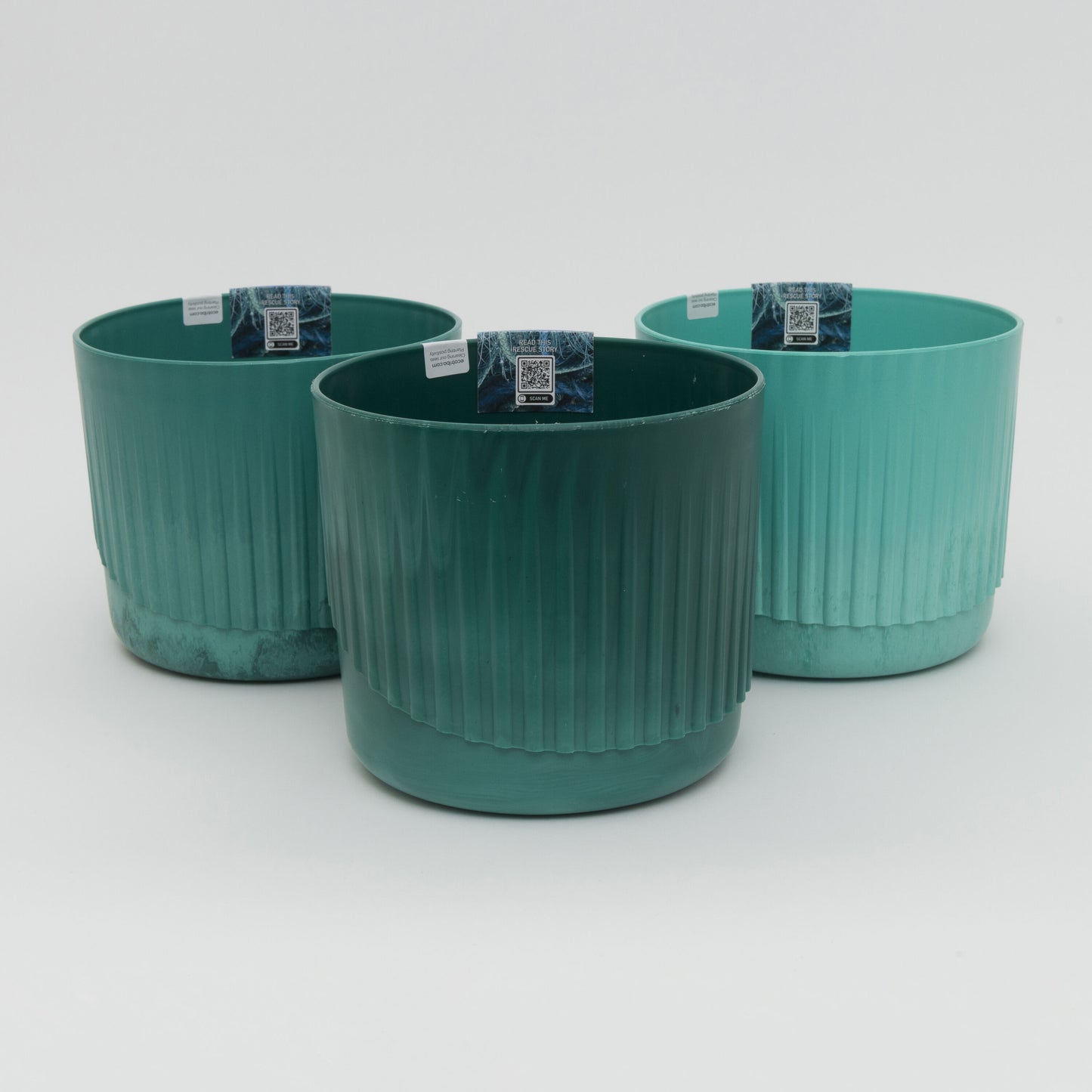 3 plant pots lined up to show variety in green colour.
