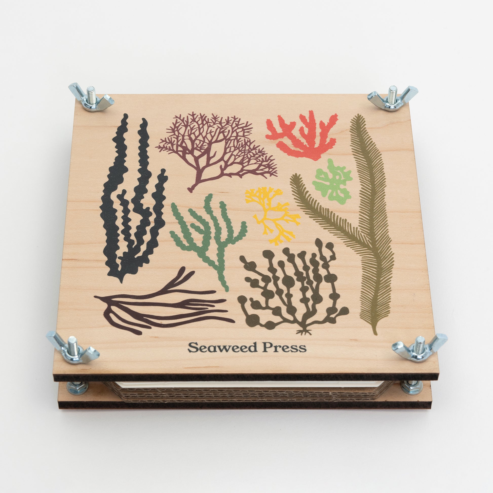 Wooden seaweed press with colourful seaweed images held together at the corners with nuts and bolts