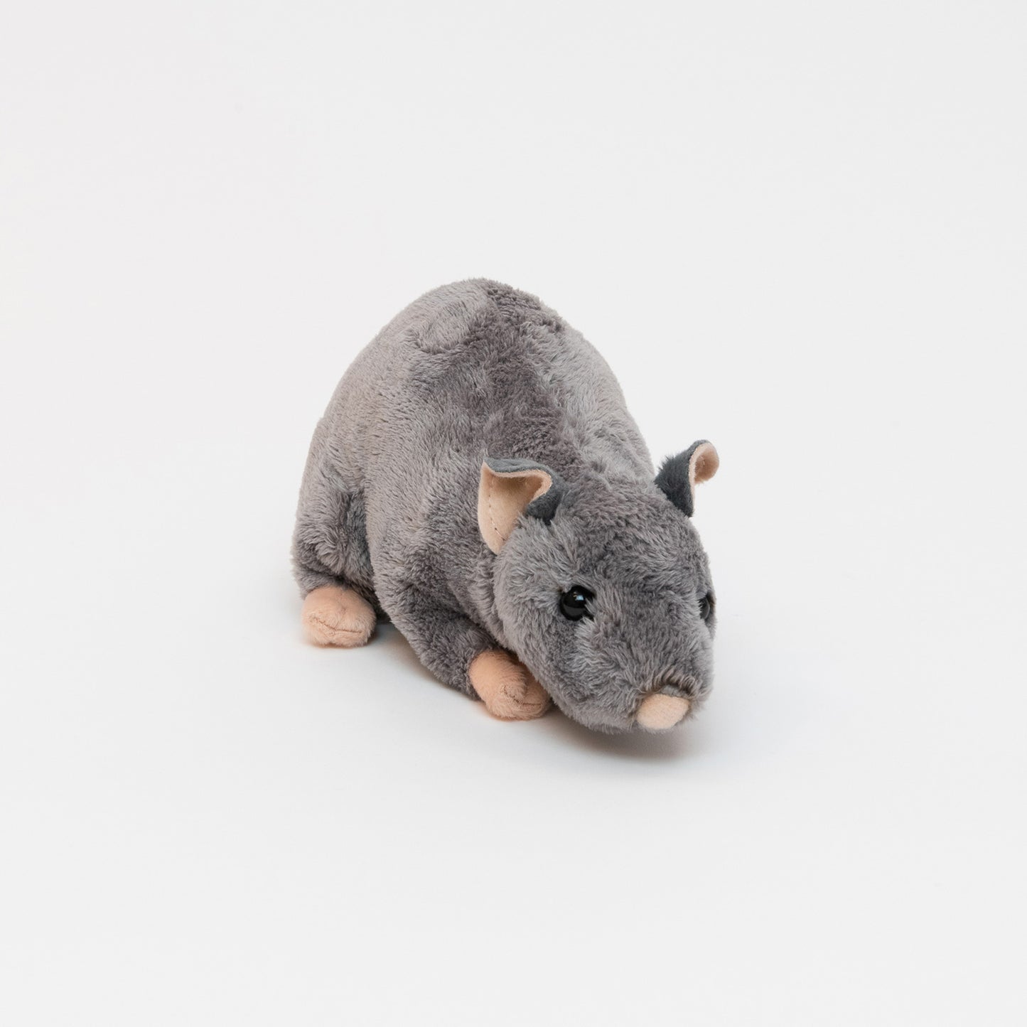 Front on photo of a grey fluffy rat with pink ears, nose and paws.