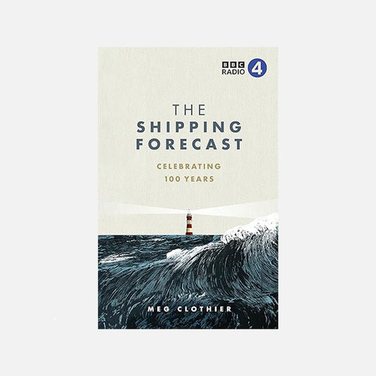 book cover image of a lighthouse in a rough sea
