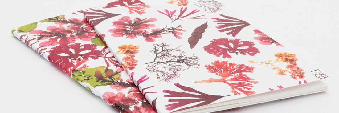 Navigate the New Year with Nautical Notebooks