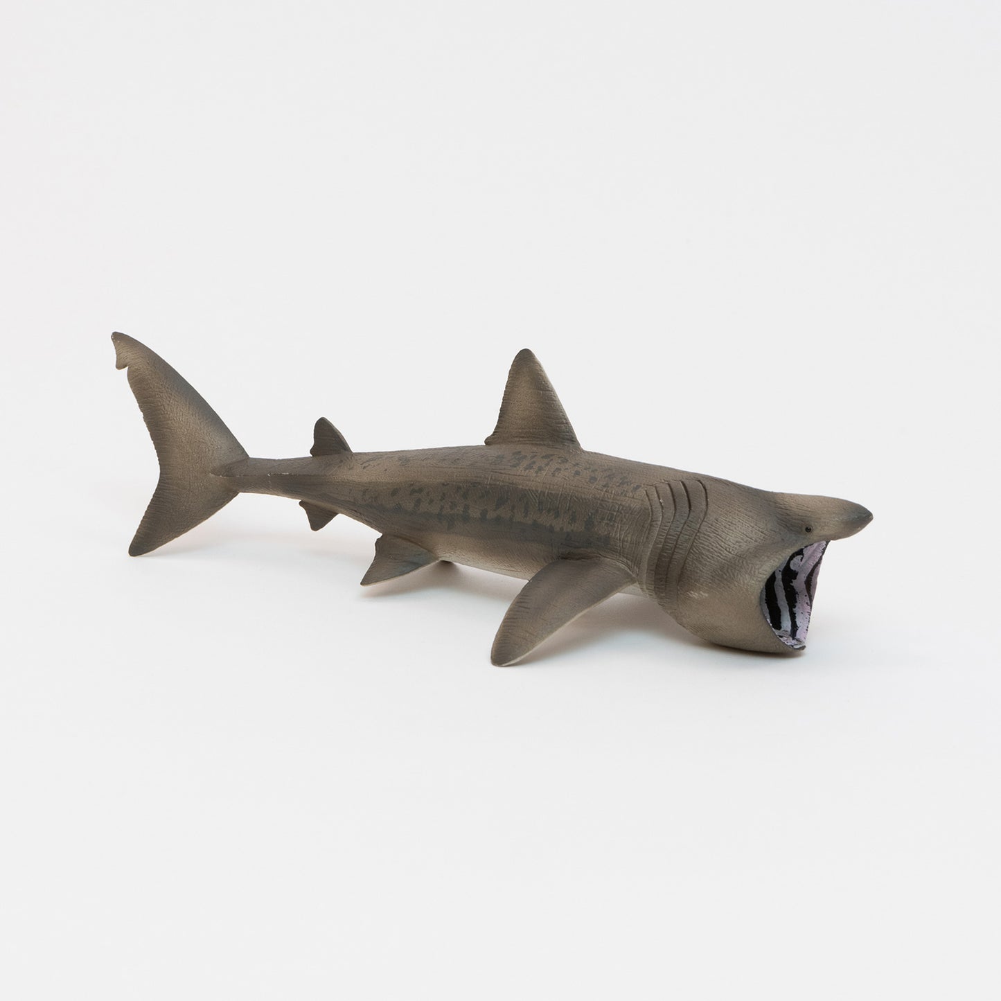 A basking shark plastic toy on a white background.