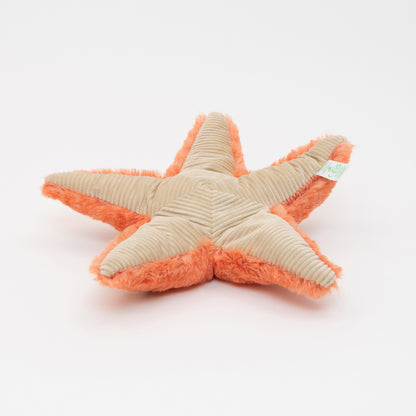 An orange plush starfish soft toy on a white background.