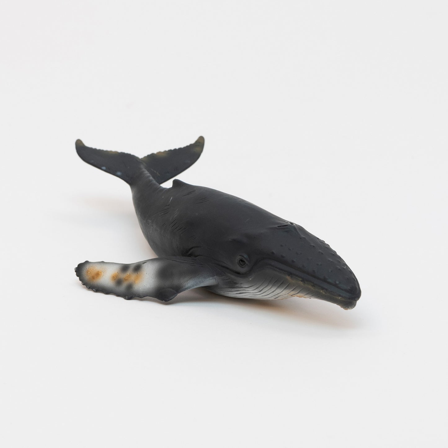 Humpback Whale Toy. Realistic hard plastic humpback whale toy. dark grey with mottled fins and tail.