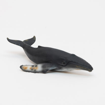 Humpback Whale Toy. Realistic hard plastic humpback whale toy. dark grey with mottled fins and tail.