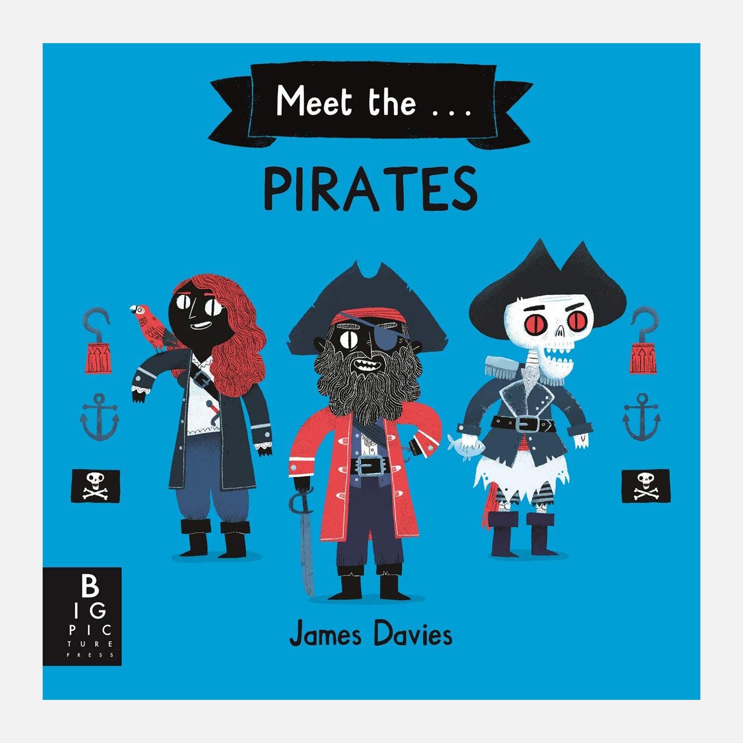 Meet the Pirates blue cover with three pirate characters on the cover