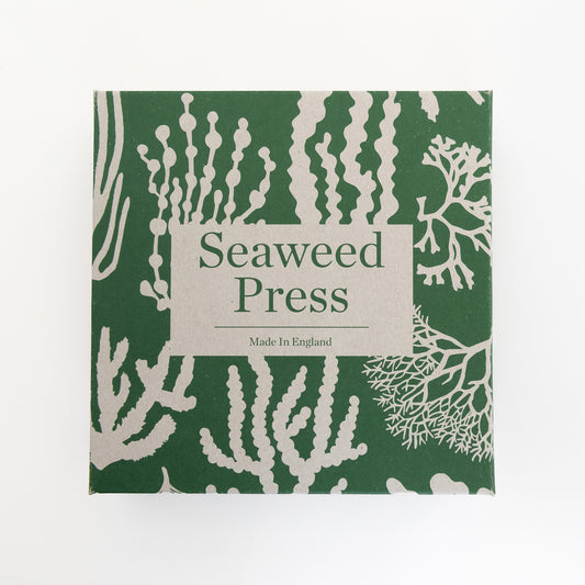 Green and beige box with seaweed decoration