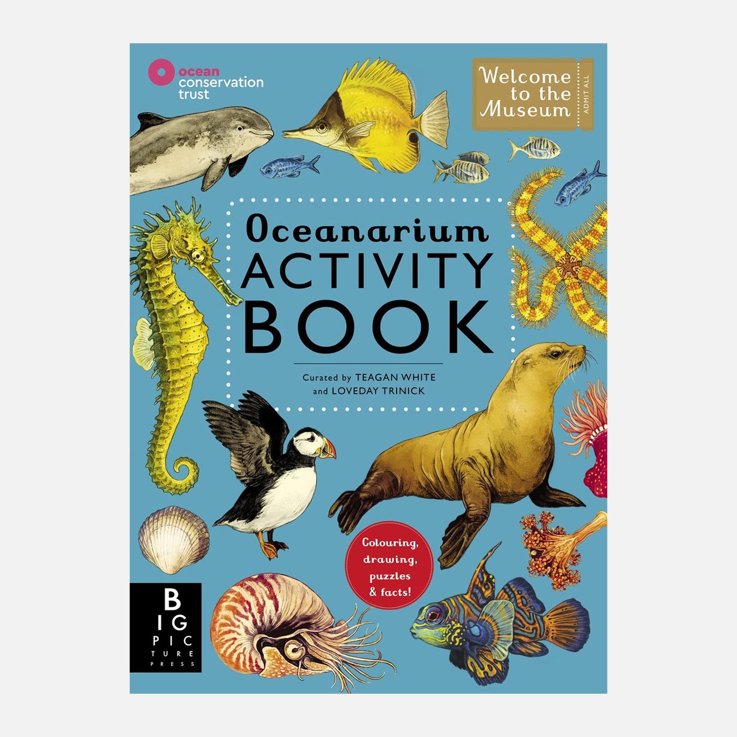 Oceanarium Activity Book drawing puzzles and facts with sea life cover 