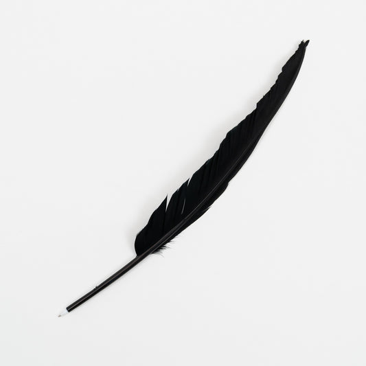 A black quill pen pictured on a white background.