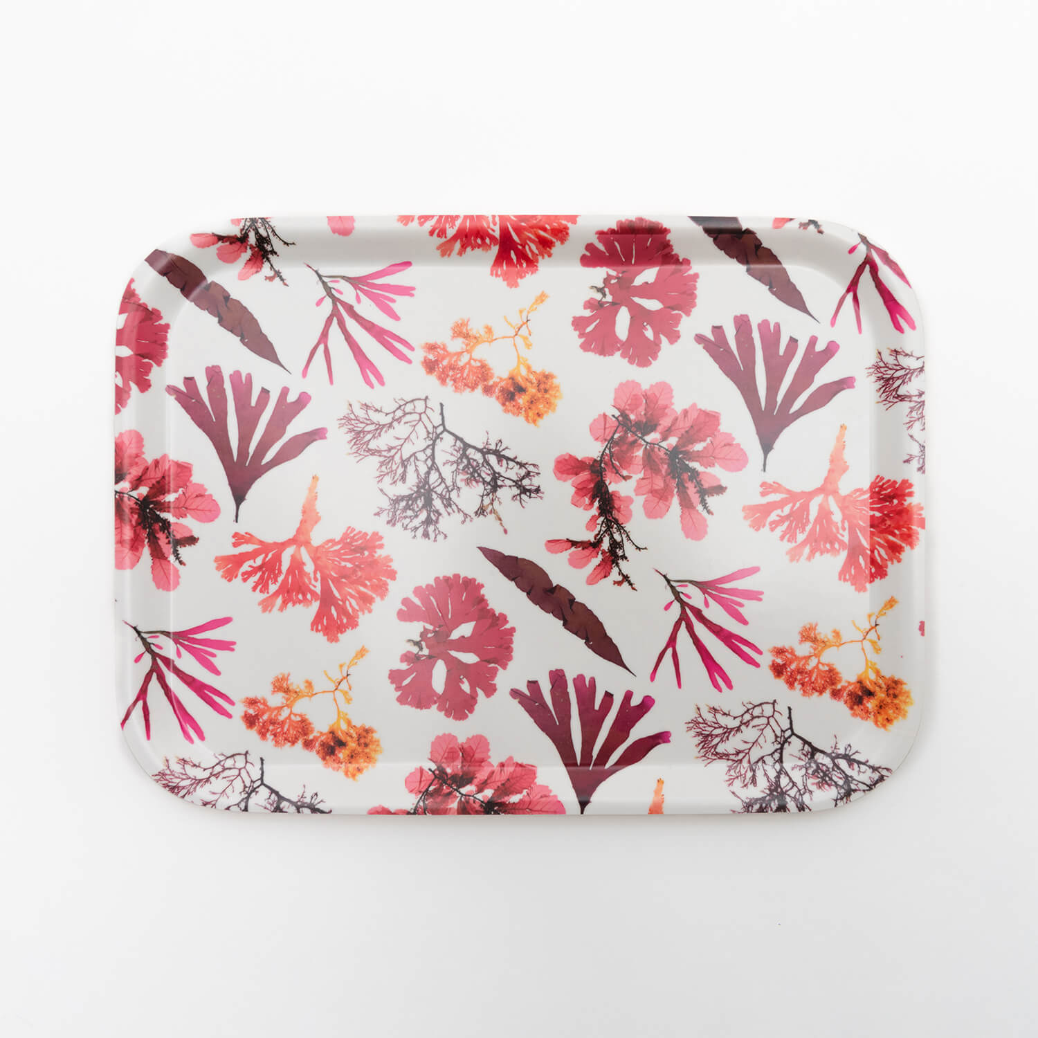 rectangular tray featuring seaweed pressings in pinks, reds and  maroons