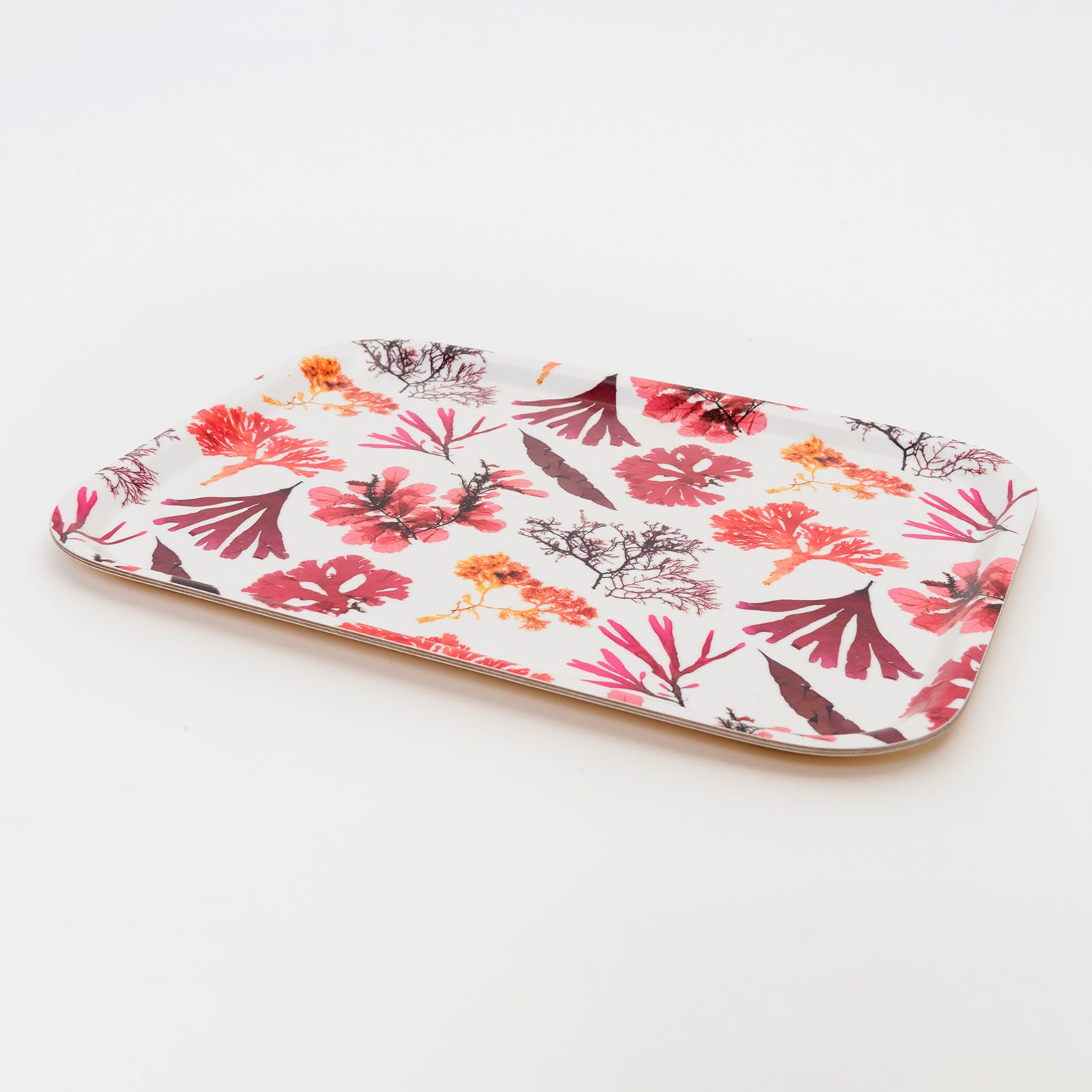 rectangular tray featuring seaweed pressings in pinks, reds and  maroons