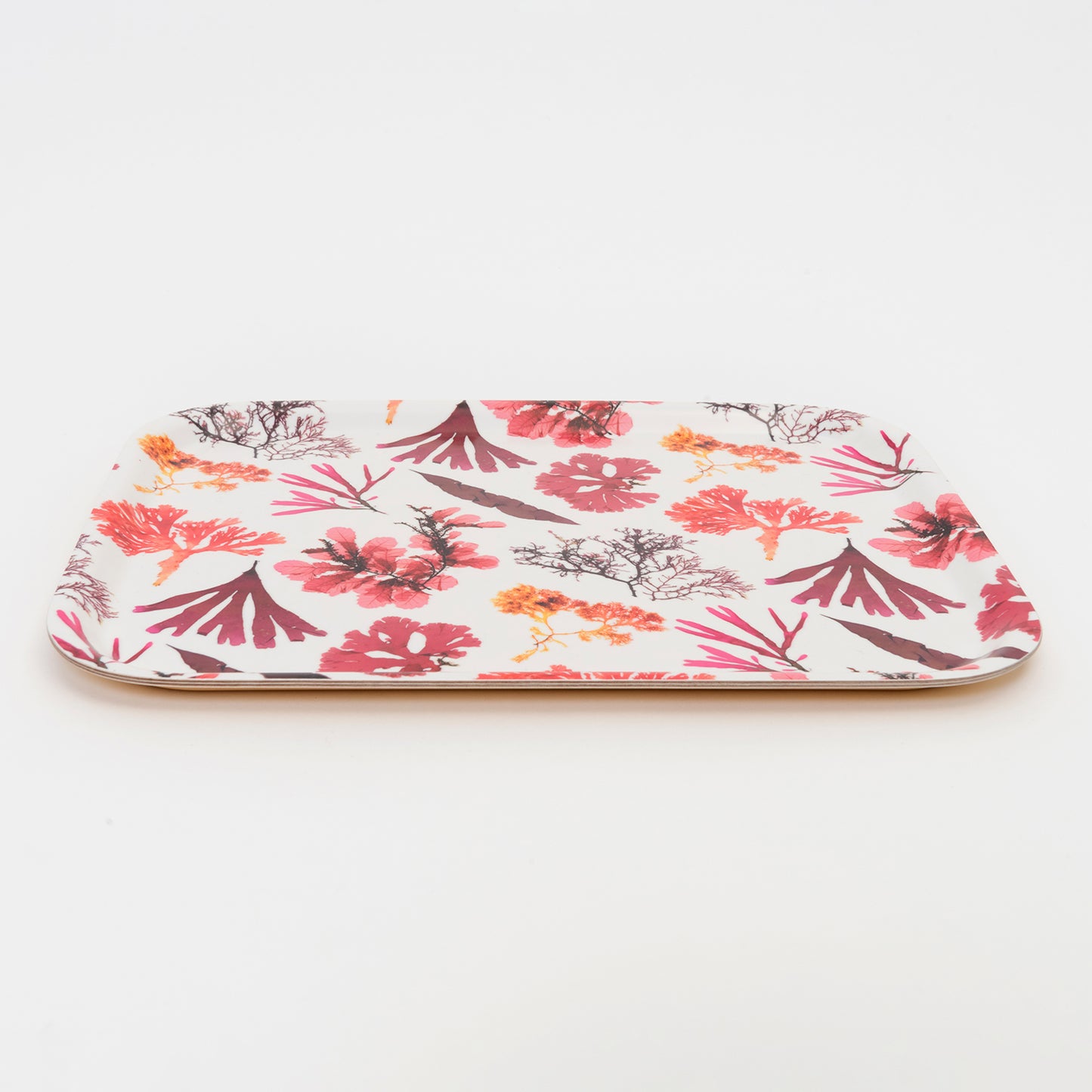 rectangular tray featuring seaweed pressings in pinks, reds and  maroons